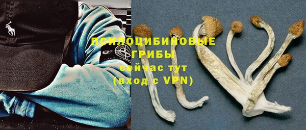 сатива Алексеевка