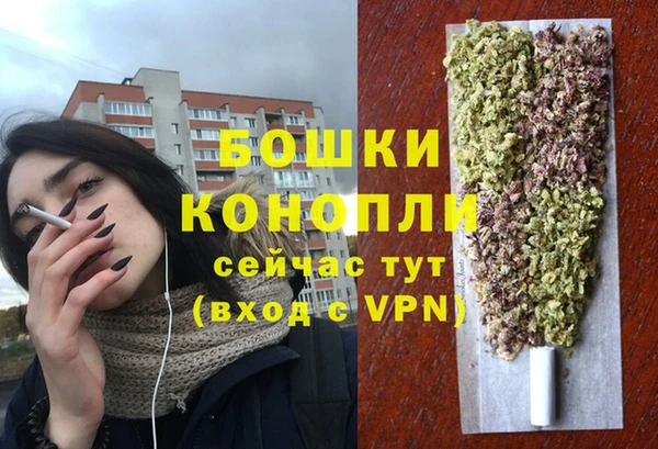 a pvp Абаза