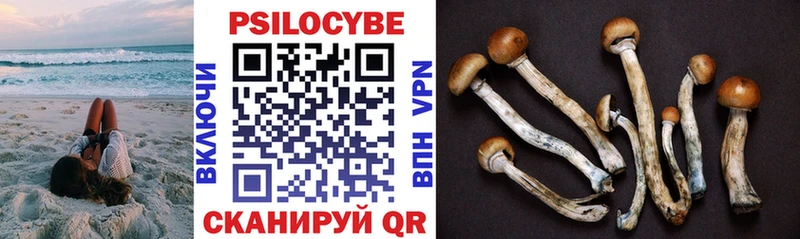 Псилоцибиновые грибы Psilocybine cubensis  MEGA рабочий сайт  shop как зайти  как найти наркотики  Киржач 